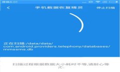Web3钱包的数据解析：深入了解区块链上的数字资