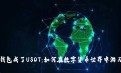 当你钱包成了USDT：如何在数字货币世界中游刃有