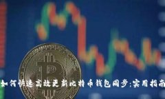 如何快速高效更新比特币钱包同步：实用指南