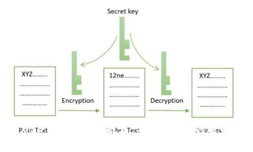 USDT常用钱包推荐：安全、便捷的选择