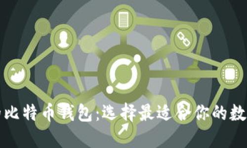 详解不同类型的比特币钱包：选择最适合你的数字资产管理方案