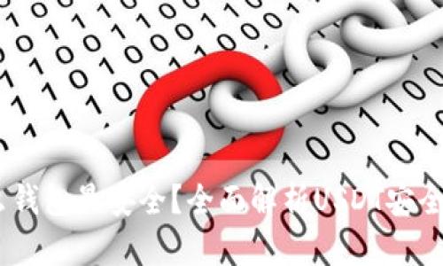 USDT放在什么钱包最安全？全面解析USDT安全存储解决方案