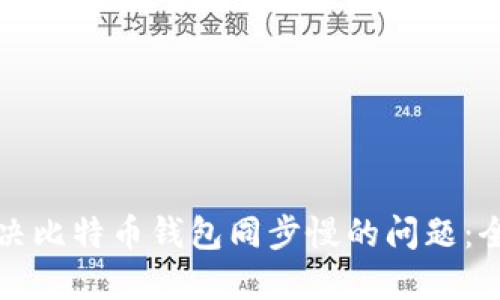 如何解决比特币钱包同步慢的问题：全面指南