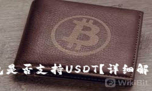 Token.im钱包是否支持USDT？详细解析与使用指南