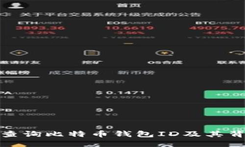 如何精准查询比特币钱包ID及其背后的意义