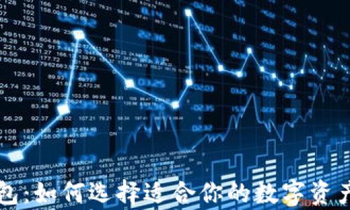 
虚拟币钱包：如何选择适合你的数字资产存储方式