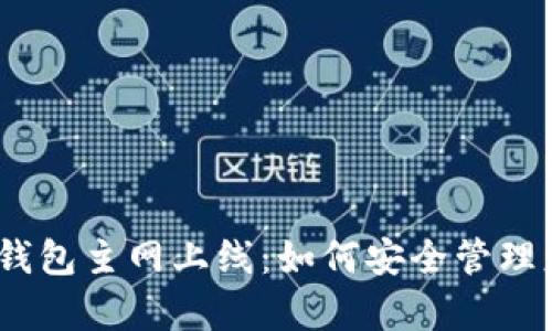 2023年虚拟币钱包主网上线：如何安全管理财富与投资机会