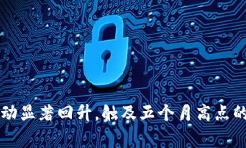 比特币钱包活动显著回升，触及五个月高点的背后原因分析