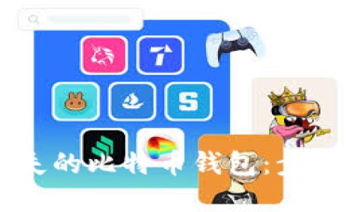 如何找回丢失的比特币钱包：步骤与技巧详解