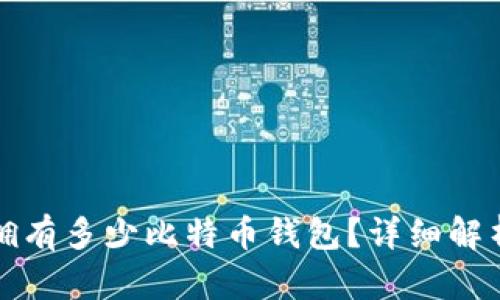 一个人可以拥有多少比特币钱包？详细解析与使用案例