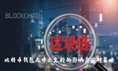 比特币钱包无中文支持的影响与应对策略