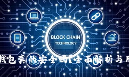 比特币钱包真的安全吗？全面解析与用户指南