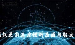 比特币钱包更新速度慢的原因与解决方案分析