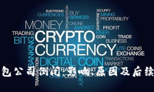 虚拟币钱包公司倒闭：影响、原因及后续应对策略