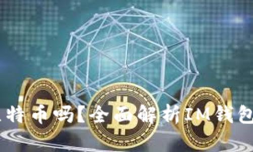 im钱包能接收比特币吗？全面解析IM钱包支持的数字货币