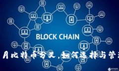 2023年11月比特币分叉，如何选择与管理你的钱包