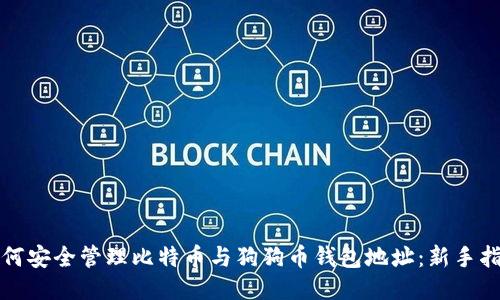 如何安全管理比特币与狗狗币钱包地址：新手指南