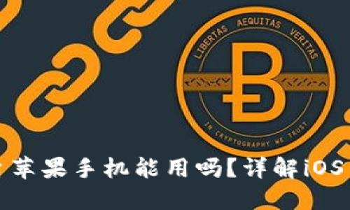 虚拟币交易所平台苹果手机能用吗？详解iOS用户的选择与体验