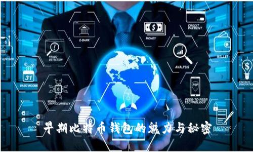 早期比特币钱包的魅力与秘密