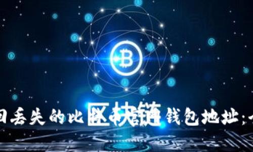 如何找回丢失的比特币官网钱包地址：全面指南