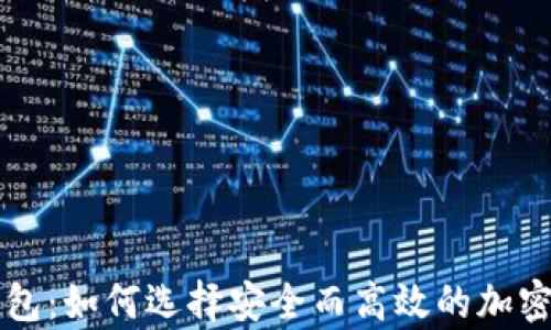 
比特币大户钱包：如何选择安全而高效的加密货币存储方式