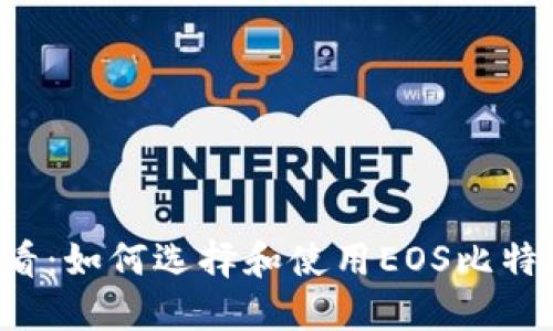 新手必看：如何选择和使用EOS比特币钱包？