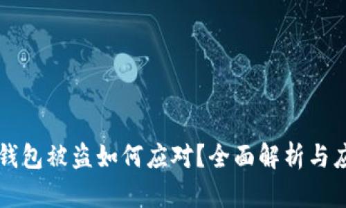 虚拟币钱包被盗如何应对？全面解析与应急指南