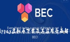 vippay虚拟币下载及其应用全面解析