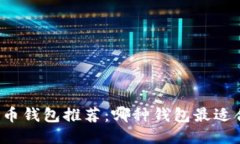 比特币钱包推荐：哪种钱包最适合你？