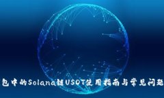 TP钱包中的Solana链USDT使用指南与常见问题解析
