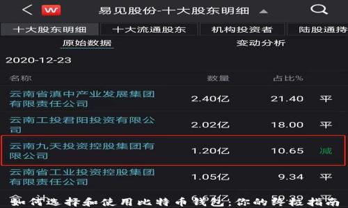 
如何选择和使用比特币钱包：你的终极指南