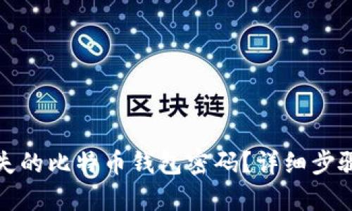 如何找回丢失的比特币钱包密码？详细步骤与有效策略