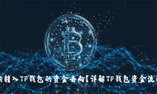 如何查询转入TP钱包的资金去向？详解TP钱包资金流动与管理