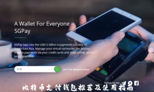 
比特币支付钱包推荐及使用指南