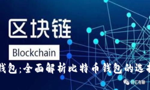 黑比特币钱包：全面解析比特币钱包的选择与安全性