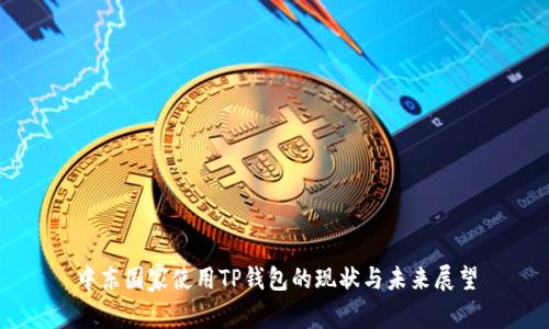 中东国家使用TP钱包的现状与未来展望