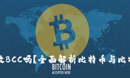 比特币钱包能放BCC吗？全面解析比特币与比特币现金的区别