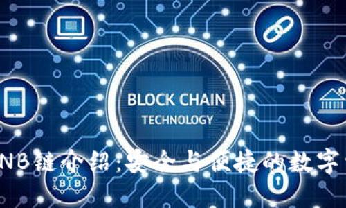 TP钱包BNB链介绍：安全与便捷的数字资产管理