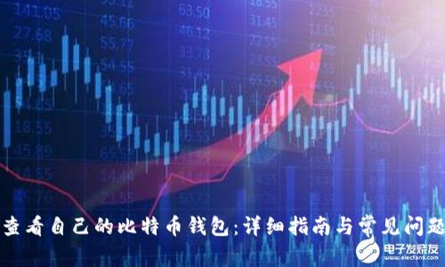 如何查看自己的比特币钱包：详细指南与常见问题解答