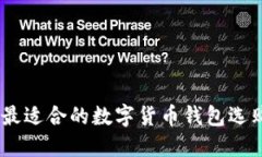 USDT最适合的数字货币钱包选购指南