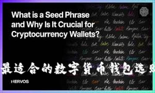 USDT最适合的数字货币钱包选购指南