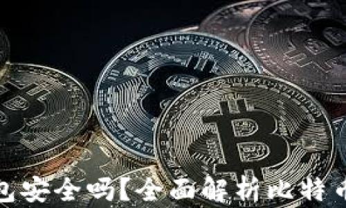 
存比特币钱包安全吗？全面解析比特币钱包安全性
