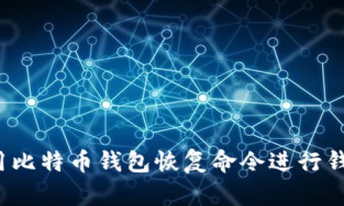 如何使用比特币钱包恢复命令进行钱包恢复？