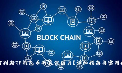 如何判断TP钱包币的真假图片？详细指南与实用技巧