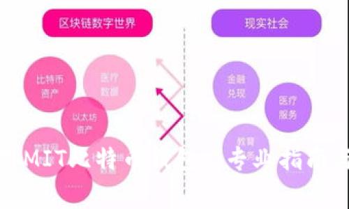 如何选择和使用MIT比特币钱包: 专业指南与常见问题解答
