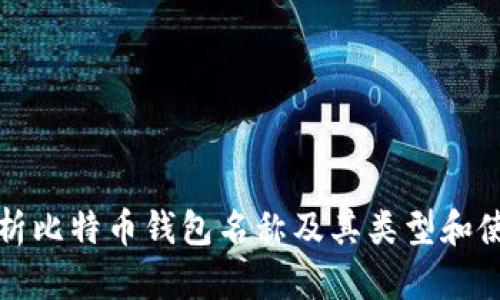 全面解析比特币钱包名称及其类型和使用方法