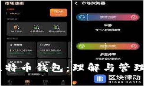 如何安全使用比特币钱包：理解与管理你的登录PIN码