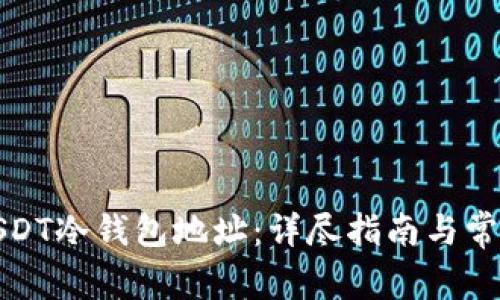 如何查询USDT冷钱包地址：详尽指南与常见问题解答