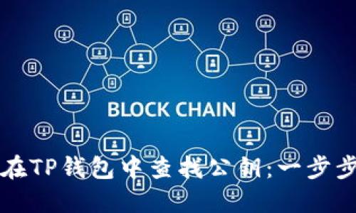 如何在TP钱包中查找公钥：一步步指南