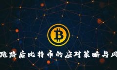 钱包商跑路后比特币的应对策略与风险管理